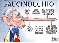 FAUCINOCCHIO