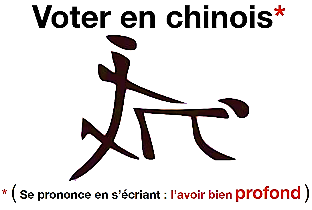 VOTER en caractères chinois du Judoka RIEN 12 04 22